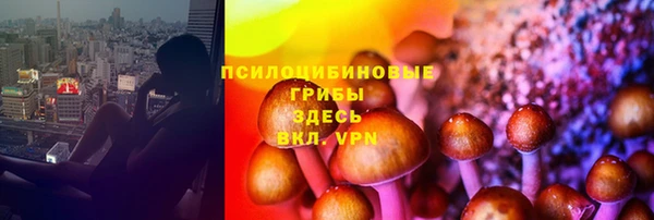 крисы Белоозёрский