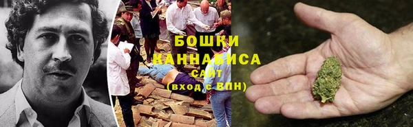 крисы Белоозёрский