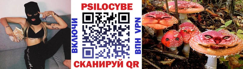 Галлюциногенные грибы Psilocybe  Городовиковск 